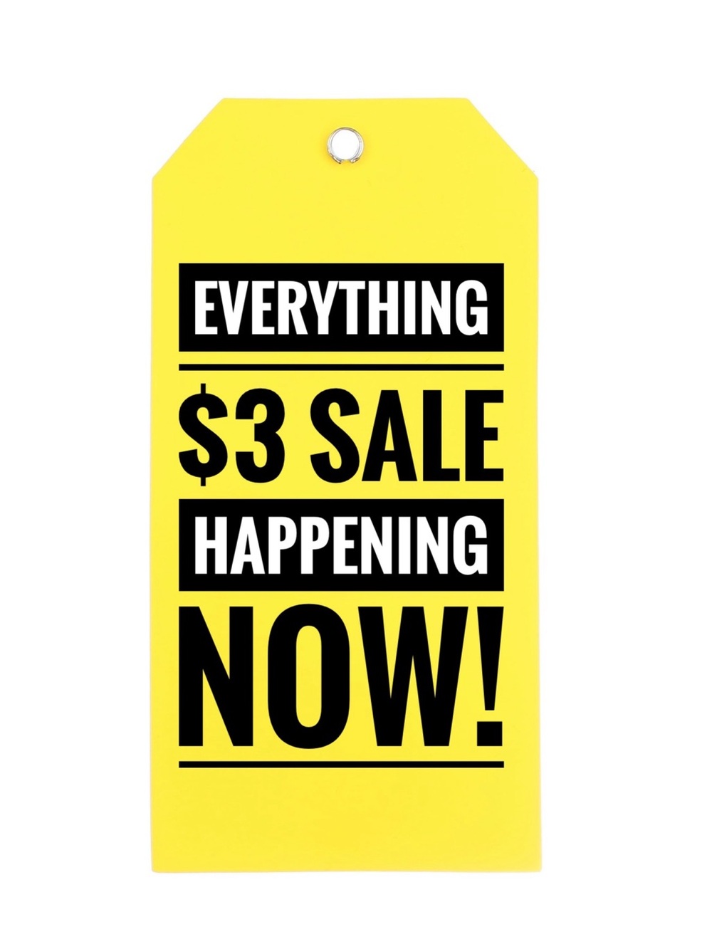 EVERYTHING $3 SALE HAPPENING NOW!